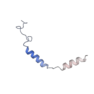 31388_7ezk_G_v1-1
Cryo-EM structure of an activated Cholecystokinin A receptor (CCKAR)-Gs complex