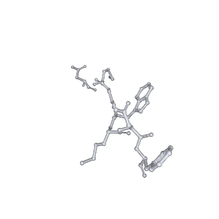 31388_7ezk_P_v1-1
Cryo-EM structure of an activated Cholecystokinin A receptor (CCKAR)-Gs complex