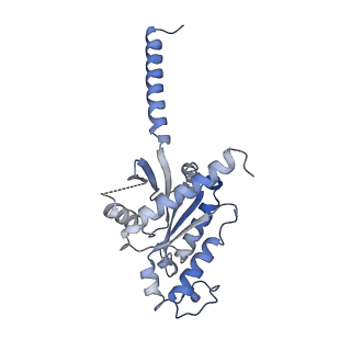 31389_7ezm_A_v1-1
Cryo-EM structure of an activated Cholecystokinin A receptor (CCKAR)-Gq complex