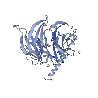 31389_7ezm_B_v1-1
Cryo-EM structure of an activated Cholecystokinin A receptor (CCKAR)-Gq complex