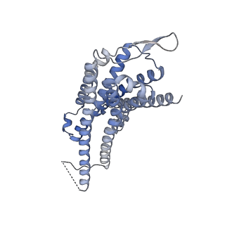 31389_7ezm_D_v1-1
Cryo-EM structure of an activated Cholecystokinin A receptor (CCKAR)-Gq complex