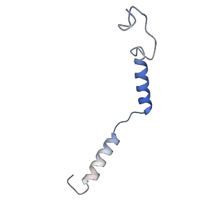 31389_7ezm_G_v1-1
Cryo-EM structure of an activated Cholecystokinin A receptor (CCKAR)-Gq complex