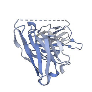 31389_7ezm_H_v1-1
Cryo-EM structure of an activated Cholecystokinin A receptor (CCKAR)-Gq complex
