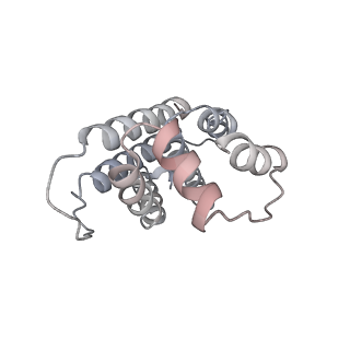 31393_7ezx_A5_v1-0
Structure of the phycobilisome from the red alga Porphyridium purpureum in Middle Light