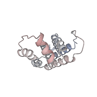 31393_7ezx_A8_v1-0
Structure of the phycobilisome from the red alga Porphyridium purpureum in Middle Light