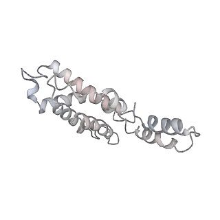 31393_7ezx_AG_v1-0
Structure of the phycobilisome from the red alga Porphyridium purpureum in Middle Light