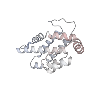 31393_7ezx_C8_v1-0
Structure of the phycobilisome from the red alga Porphyridium purpureum in Middle Light