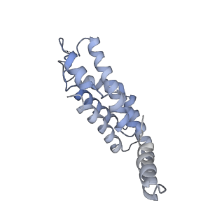 31393_7ezx_DK_v1-0
Structure of the phycobilisome from the red alga Porphyridium purpureum in Middle Light
