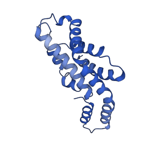 31393_7ezx_EI_v1-0
Structure of the phycobilisome from the red alga Porphyridium purpureum in Middle Light