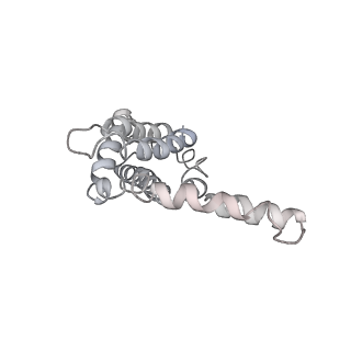 31393_7ezx_EQ_v1-0
Structure of the phycobilisome from the red alga Porphyridium purpureum in Middle Light