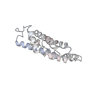 31393_7ezx_FG_v1-0
Structure of the phycobilisome from the red alga Porphyridium purpureum in Middle Light
