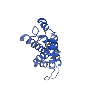 31393_7ezx_H1_v1-0
Structure of the phycobilisome from the red alga Porphyridium purpureum in Middle Light