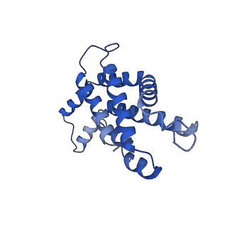 31393_7ezx_HI_v1-0
Structure of the phycobilisome from the red alga Porphyridium purpureum in Middle Light