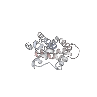 31393_7ezx_JQ_v1-0
Structure of the phycobilisome from the red alga Porphyridium purpureum in Middle Light