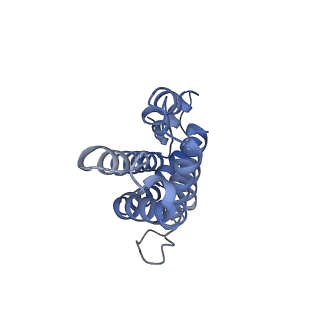 31393_7ezx_K5_v1-0
Structure of the phycobilisome from the red alga Porphyridium purpureum in Middle Light