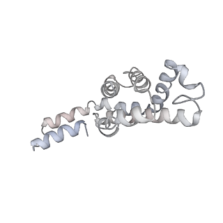 31393_7ezx_KC_v1-0
Structure of the phycobilisome from the red alga Porphyridium purpureum in Middle Light