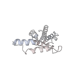 31393_7ezx_KQ_v1-0
Structure of the phycobilisome from the red alga Porphyridium purpureum in Middle Light