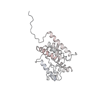 31393_7ezx_MA_v1-0
Structure of the phycobilisome from the red alga Porphyridium purpureum in Middle Light