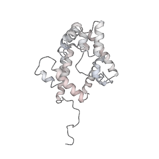 31393_7ezx_MQ_v1-0
Structure of the phycobilisome from the red alga Porphyridium purpureum in Middle Light