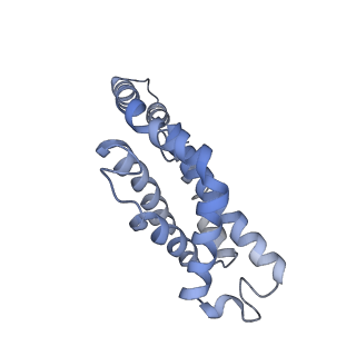 31393_7ezx_Q1_v1-0
Structure of the phycobilisome from the red alga Porphyridium purpureum in Middle Light