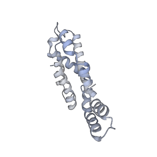 31393_7ezx_WK_v1-0
Structure of the phycobilisome from the red alga Porphyridium purpureum in Middle Light