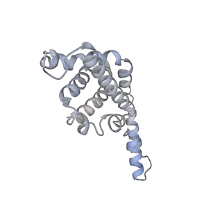 31393_7ezx_YJ_v1-0
Structure of the phycobilisome from the red alga Porphyridium purpureum in Middle Light