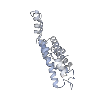 31393_7ezx_a1_v1-0
Structure of the phycobilisome from the red alga Porphyridium purpureum in Middle Light