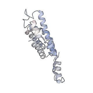 31393_7ezx_aK_v1-0
Structure of the phycobilisome from the red alga Porphyridium purpureum in Middle Light