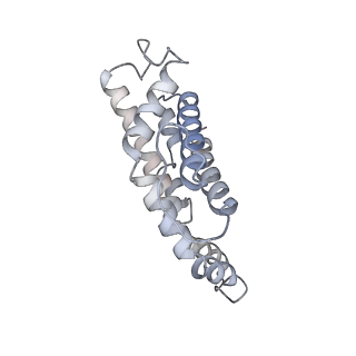 31393_7ezx_cK_v1-0
Structure of the phycobilisome from the red alga Porphyridium purpureum in Middle Light