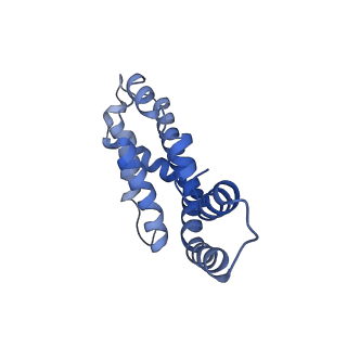 31393_7ezx_d9_v1-0
Structure of the phycobilisome from the red alga Porphyridium purpureum in Middle Light