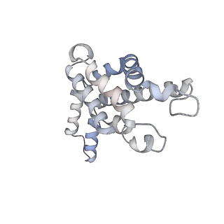 31393_7ezx_eL_v1-0
Structure of the phycobilisome from the red alga Porphyridium purpureum in Middle Light