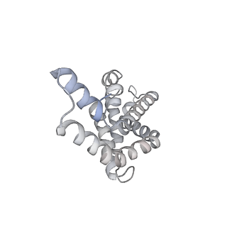 31393_7ezx_h1_v1-0
Structure of the phycobilisome from the red alga Porphyridium purpureum in Middle Light