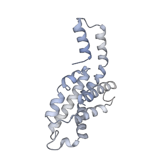 31393_7ezx_hB_v1-0
Structure of the phycobilisome from the red alga Porphyridium purpureum in Middle Light