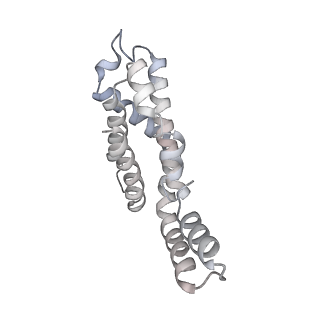 31393_7ezx_jK_v1-0
Structure of the phycobilisome from the red alga Porphyridium purpureum in Middle Light
