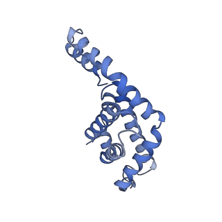 31393_7ezx_l9_v1-0
Structure of the phycobilisome from the red alga Porphyridium purpureum in Middle Light
