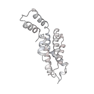 31393_7ezx_mJ_v1-0
Structure of the phycobilisome from the red alga Porphyridium purpureum in Middle Light