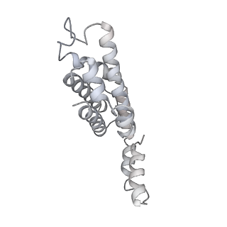 31393_7ezx_mK_v1-0
Structure of the phycobilisome from the red alga Porphyridium purpureum in Middle Light