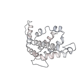 31393_7ezx_nL_v1-0
Structure of the phycobilisome from the red alga Porphyridium purpureum in Middle Light