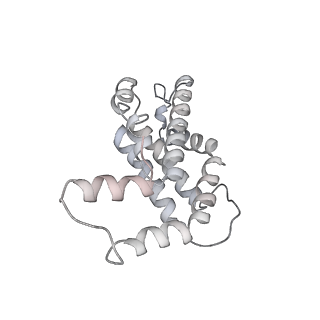 31393_7ezx_rJ_v1-0
Structure of the phycobilisome from the red alga Porphyridium purpureum in Middle Light