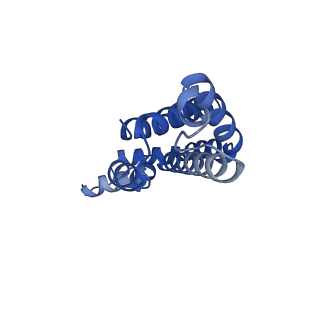 31393_7ezx_rP_v1-0
Structure of the phycobilisome from the red alga Porphyridium purpureum in Middle Light