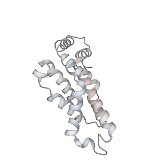 31393_7ezx_sJ_v1-0
Structure of the phycobilisome from the red alga Porphyridium purpureum in Middle Light