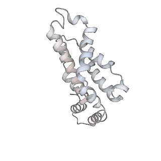 31393_7ezx_sL_v1-0
Structure of the phycobilisome from the red alga Porphyridium purpureum in Middle Light