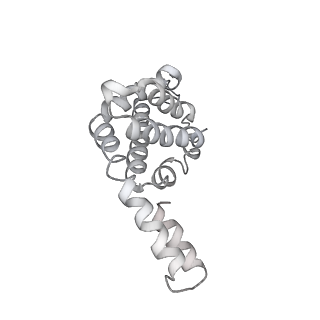 31393_7ezx_uJ_v1-0
Structure of the phycobilisome from the red alga Porphyridium purpureum in Middle Light