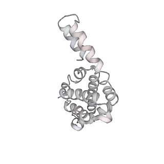 31393_7ezx_uL_v1-0
Structure of the phycobilisome from the red alga Porphyridium purpureum in Middle Light