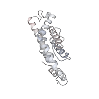 31393_7ezx_vL_v1-0
Structure of the phycobilisome from the red alga Porphyridium purpureum in Middle Light
