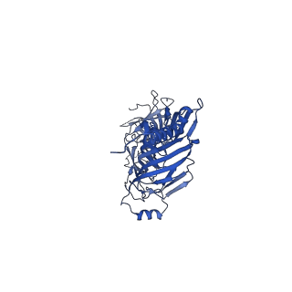 4161_6ezn_A_v2-1
Cryo-EM structure of the yeast oligosaccharyltransferase (OST) complex