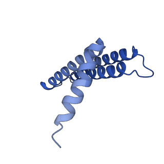 4161_6ezn_B_v1-2
Cryo-EM structure of the yeast oligosaccharyltransferase (OST) complex