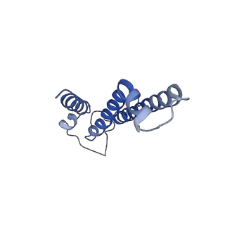 4161_6ezn_C_v1-2
Cryo-EM structure of the yeast oligosaccharyltransferase (OST) complex