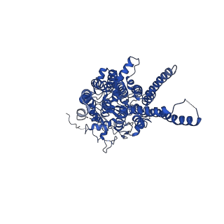 4161_6ezn_F_v1-2
Cryo-EM structure of the yeast oligosaccharyltransferase (OST) complex