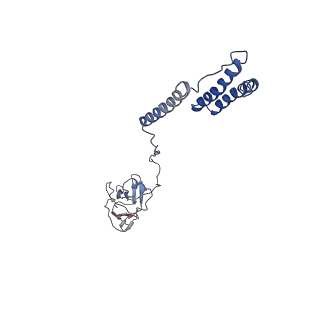 4161_6ezn_H_v1-2
Cryo-EM structure of the yeast oligosaccharyltransferase (OST) complex